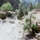  Samaria Gorge